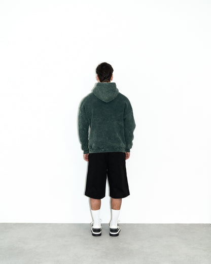 Ceasarss Hoodie Washed Green